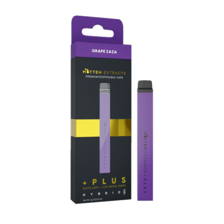 Grape Zaza Disposable THC Vape 2g